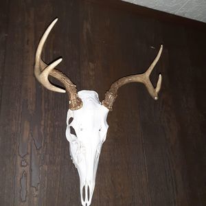 Meet your Posher, Quin